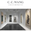 Guided Tour “C. C. Wang: Lines of Abstraction” Exhibit - Thu 3/23